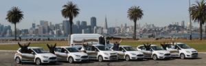 Golden Gate Support Professionals in Fleet cars